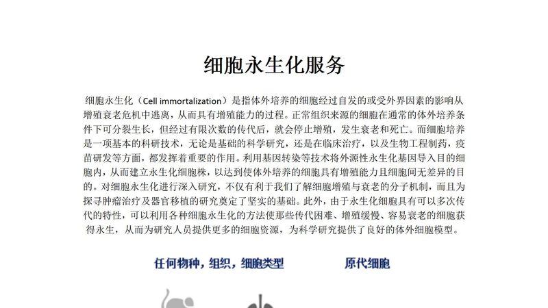 细胞永生化服务